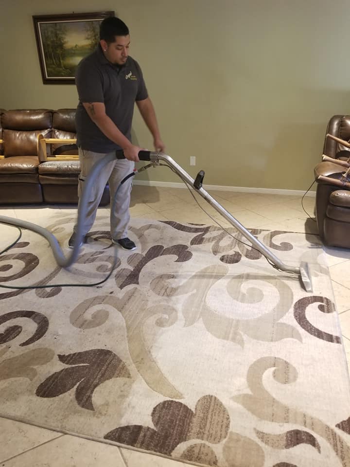 custom rug steam cleaning