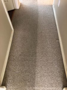 berber carpet cleaning before after