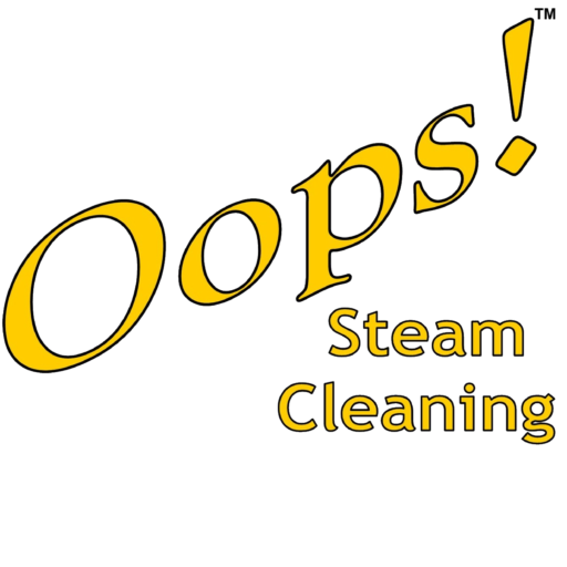 steam cleaning Archives - Сar Сare Blog