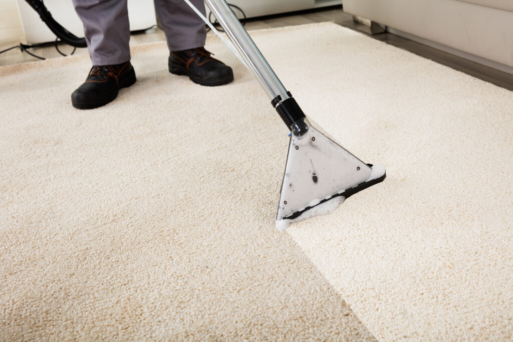 industrial vacuum cleaning dirty carpet