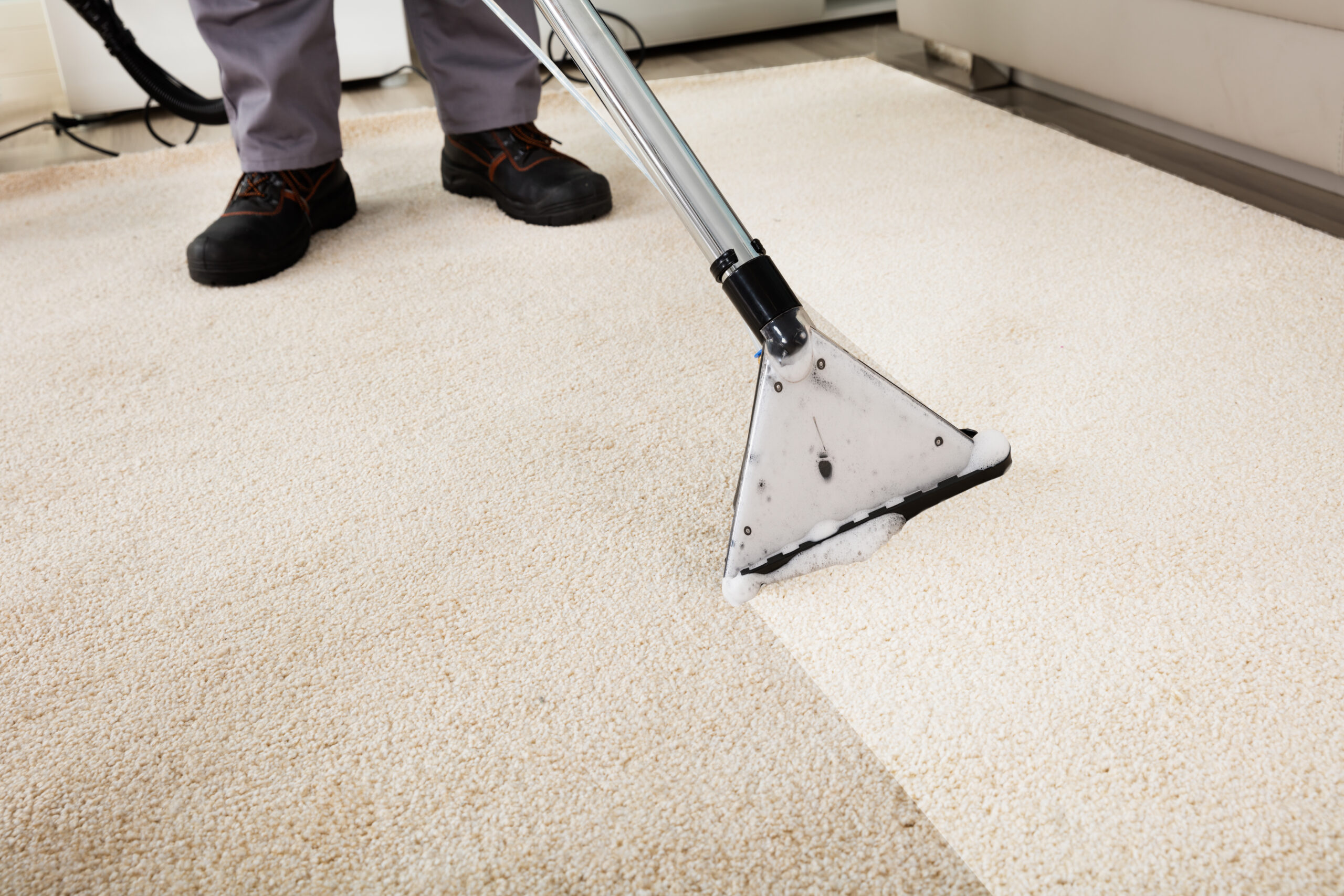 Carpet Cleaning In Houston Tx Oops Steam