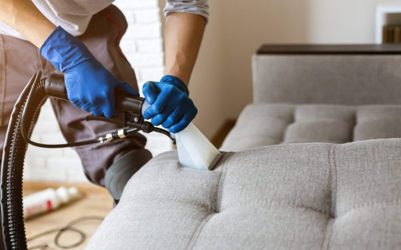 professional upholstery cleaner with cleaning vacuum